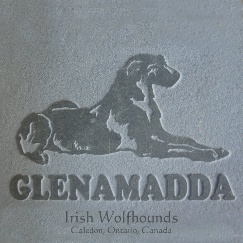 Visit Glenamadda Irish Wolfhounds